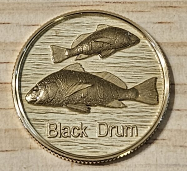 Black Drum - Coin